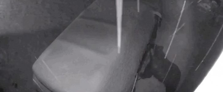 Bear delicately opens car doors during snowstorm in Colorado