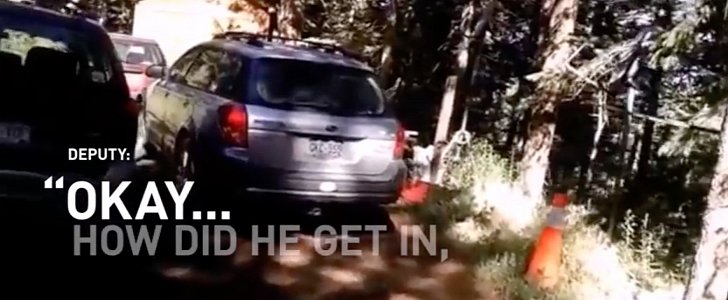 Bear stuck in Subaru Outback