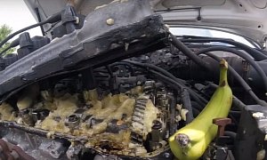 Beater Toyota Gets Its Engine Oil Replaced with Bananas, It Still Revs Like Hell