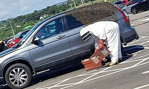 Bees Swarm Cars at Supermarket Parking Lot, Beekeeper Saves The Day