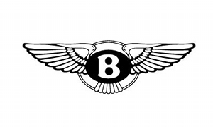 Bentley Art Auction for Charity