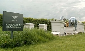 Bentley Celebrates World Bee Day by Installing Seven Beehives, Aims for a Record Harvest