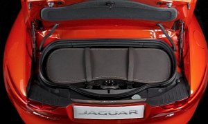Bespoke Jaguar F-Type Luggage Brought by Moynat