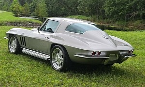 Big-Block 1966 Chevrolet Corvette Took 6 Years to Build, V8 Ready to Roar