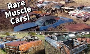Big Farm Field Is Loaded With Rare Dodge and Plymouth Muscle Cars
