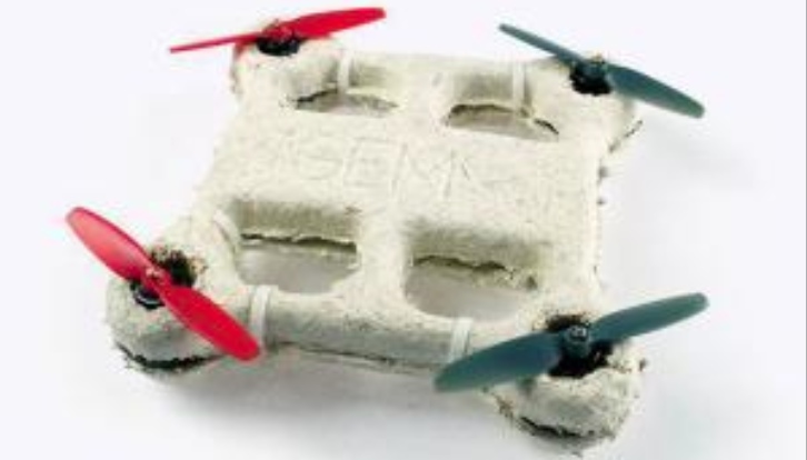Bio-drone