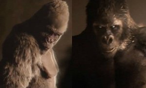 Black and White Gorillas Argue in 2015 Toyota Vellfire Commercials <span>· Video</span>