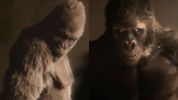 Toyota Uses Black and White Gorillas for 2015 Vellfire Commercials