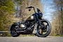 Black Star 110 Is What Happens to a Harley-Davidson in Germany