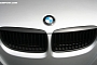BMW E9x Kidney Grille Blackout (Shadowline) DIY