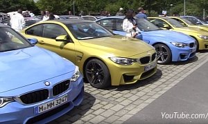 BMW M Parking Lot Heaven Has the M1, M3, M4, M5 Touring and Much More