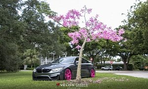 BMW M4 on Pink Wheels Poses for Breast Cancer Awareness