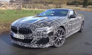 BMW M850i xDrive Reviews Discuss All-Wheel Steering, Adjustable Anti-Roll Bar