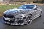 BMW M850i xDrive Reviews Discuss All-Wheel Steering, Adjustable Anti-Roll Bar