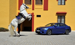 BMW Pushes for More Luxury as Chinese Market Cools Off