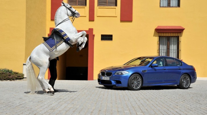 2012 BMW M5 with a Horse