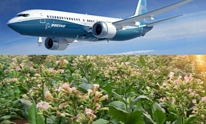 Boeing and South African Airways Will Turn Hybrid Tobacco in Bio Fuel