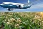 Boeing and South African Airways Will Turn Hybrid Tobacco in Bio Fuel