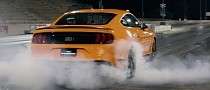 Bone Stock 2021 Ford Mustang Mach 1 Does Quarter-Mile Runs, Almost Dips Into 11s
