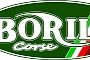 Borile Corse New Racing Department for Borile, Debuts Multiuso R and M-Sport