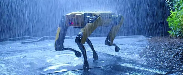 Boston Dynamics Spot out playing in the rain