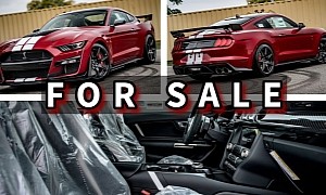 Brand-New 2021 Ford Mustang Shelby GT500 for Sale, Carries a Decent Price Tag
