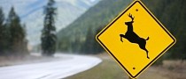 Brilliant Idea Allows Drivers to Report a Roadkill Using Just a Voice Command