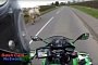 British Motorcyclist Turns into Cowboy, Stops Horse Running Rampant on the Road