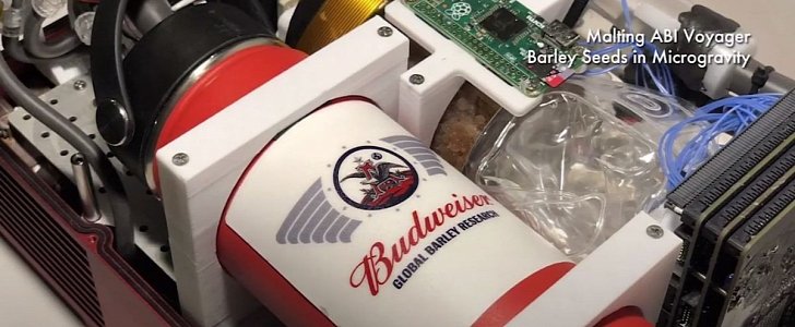 Budweiser sends barley seeds to ISS, to study brewing beer in space