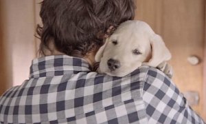 Budweiser Puppy Shows the Cute Side of Responsible Drinking