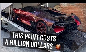 Bugatti Divo "Ladybug" Custom Paint Scheme Reportedly Costs $1 Million