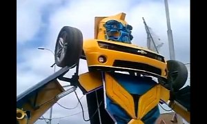Bumblebee Really Exists and Does Tricks in Chile