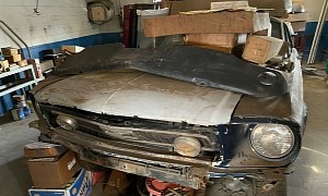 Buried Alive 1968 Ford Mustang Was Born in Venezuela, Parked 15 Years Ago