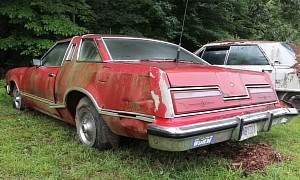 Bush-Found 1977 Ford Thunderbird Runs After 25 Years, But Not Without a Fight