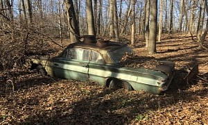Buy One, Get One Free: Barn-Find and Forest-Find Buick Specials Fighting for Life