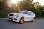 BMW X1 sDrive20d EfficientDynamics Edition Unleashed [Gallery]