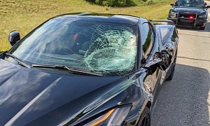 C8 Corvette Meets Big Buck, Driver Walks Away Unscathed From the Deer Crash
