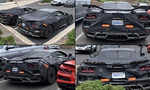 C8 Corvette With C2 Sting Ray Coupe-Inspired Split Rear Window Spied, What Could It Be?