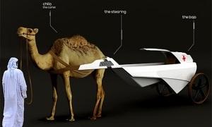 Camel-Powered Ambulance Oddly Solves Problems