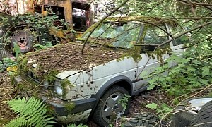 Car Graveyard Hidden From Civilization Is Home to a Few Unexpected Gems
