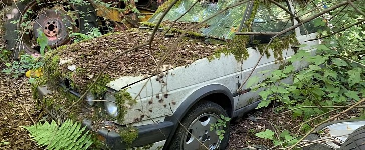 car junkyard hidden from civilization