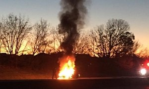 Car Hits Deer and Catches Fire, Driver Walks Away Unharmed