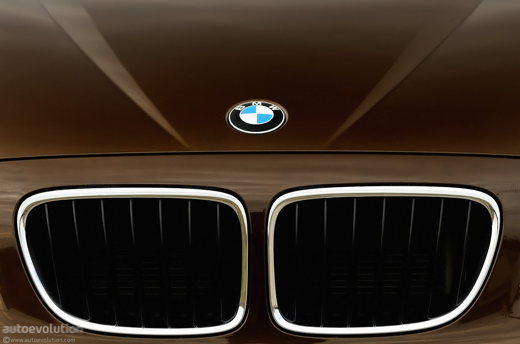 BMW logo on the new X1