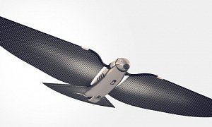 Carbon Fiber Bird-Shaped Drone Is about to Get all Shades of Grey