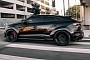 Carbon Widebody Lambo Urus Barely Fits Inside a Lane, Rides Stealthy on New RDBs