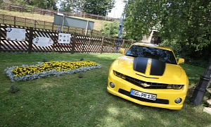Chevrolet Bumble Bed Laid for Camaro UK Launch