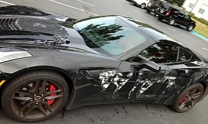 Chevrolet Corvette Stingray Gets Vandalised with Paint Stripper