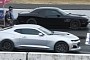 Chevy Camaro ZL1 Races Challenger Hellcat, Loser Gets Owned Like a House Lannister Army