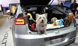 Chevy Cars Are for the Dogs