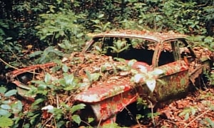 The Mystery Story of the Chevy Corvair Abandoned in the Jungle: How Did It Get There?